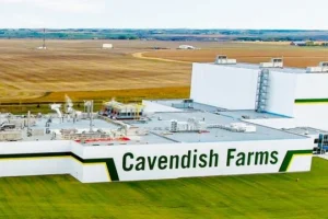 Cavendish Farms